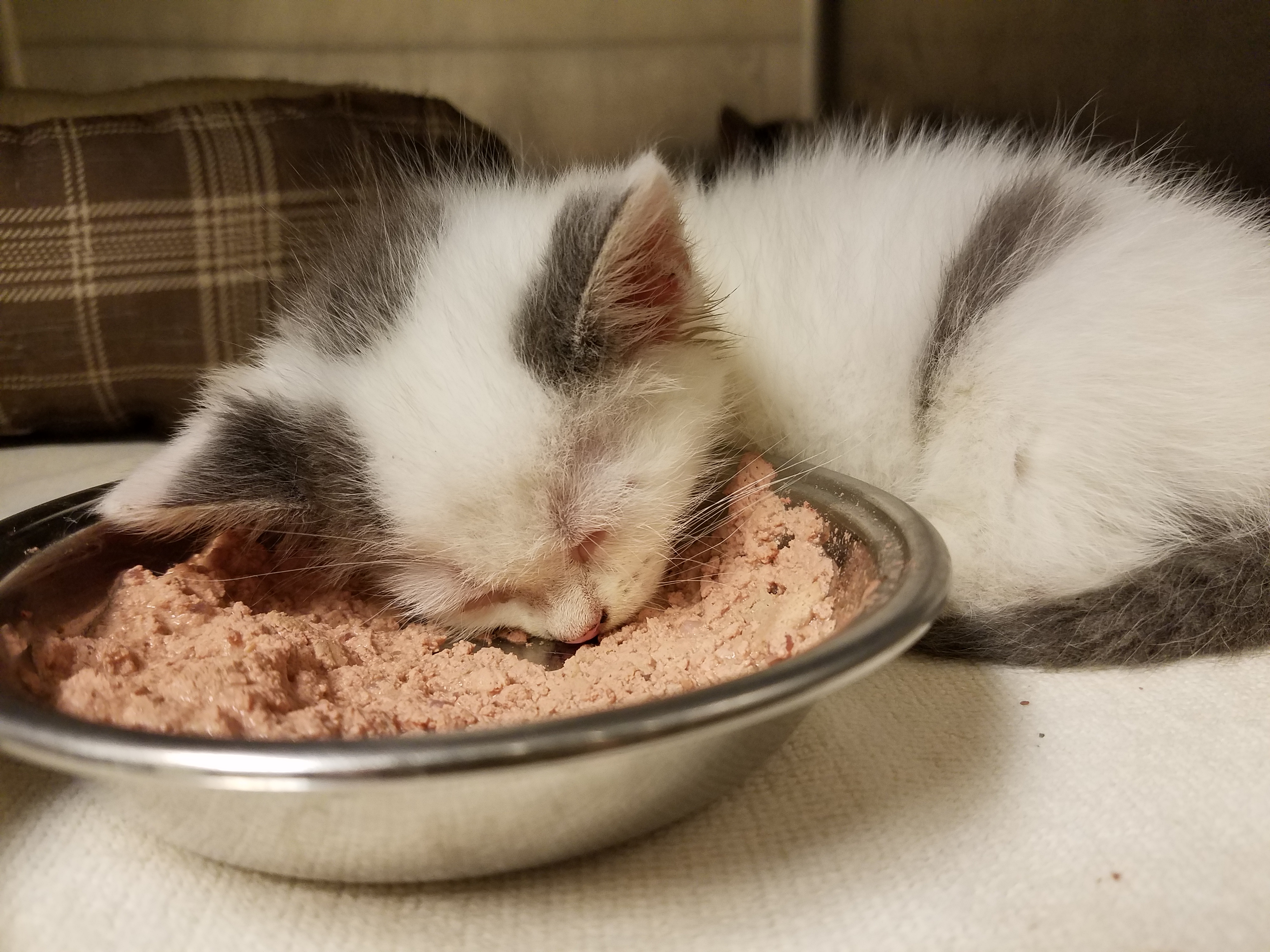 Saturday July 9th Open Thread The Last Refuge