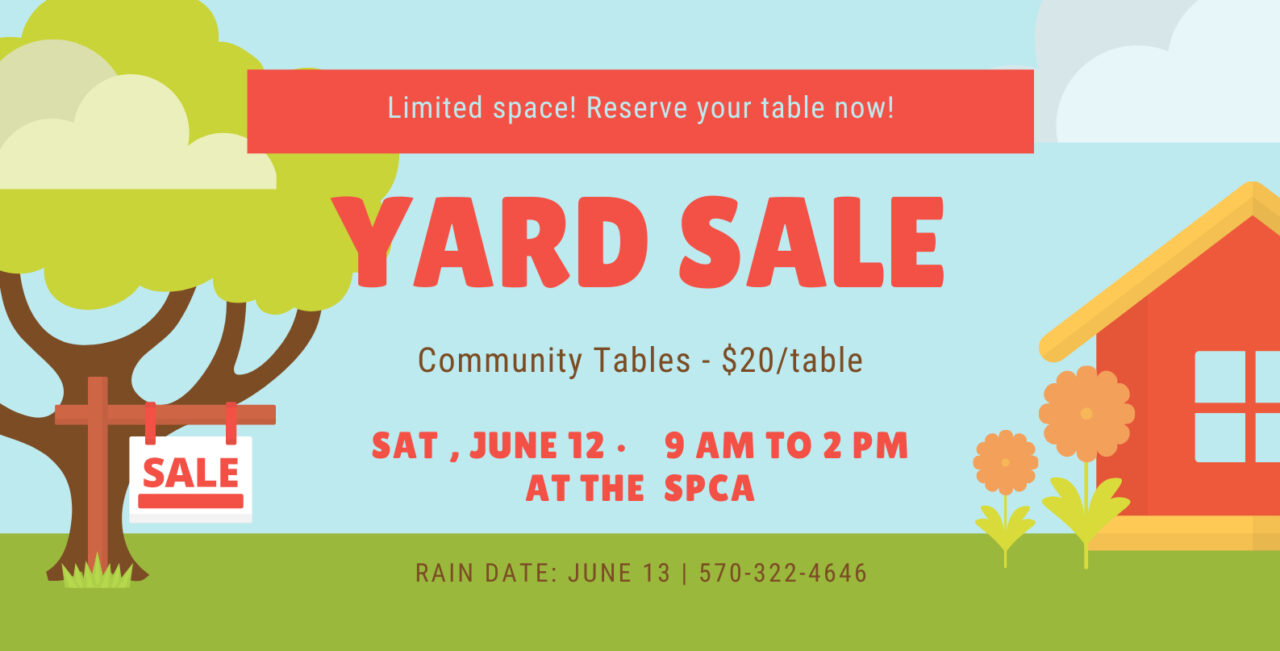 County SPCA Connecting best friends for over 125 years!